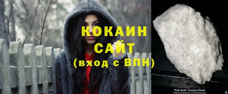 наркотики  Бежецк  COCAIN VHQ 